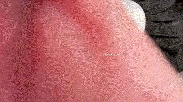 GIF