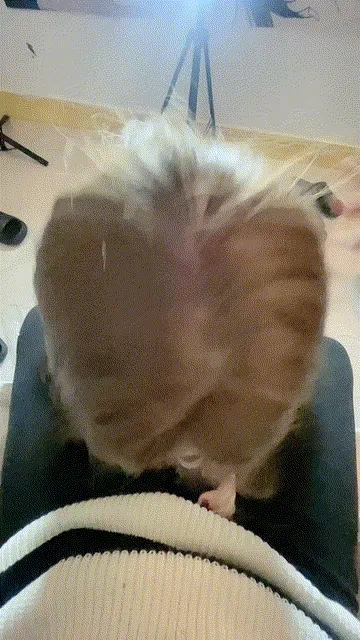 GIF